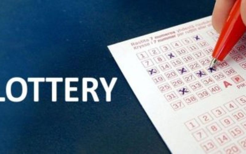 lata lottery sambad draw schedule